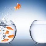 Leadership Development by Richard Gourlay