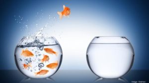 Mentoring Leaders NED by Richard Gourlay