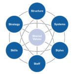 McKinsey7-S-Model to assess a company structure, by Richard Gourlay