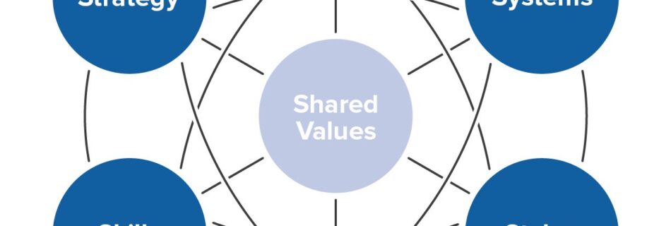 McKinsey7-S-Model to assess a company structure, by Richard Gourlay