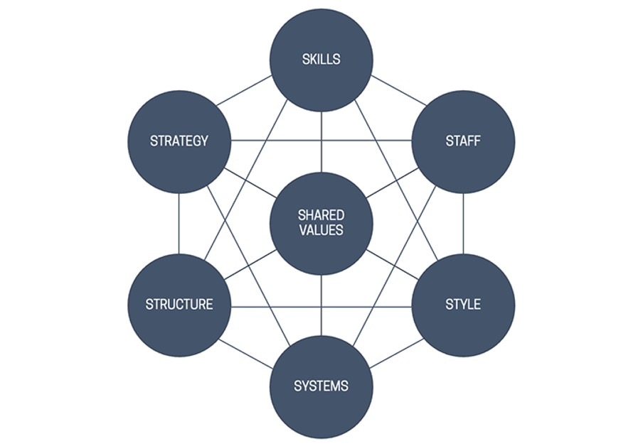 Director mentoring skills