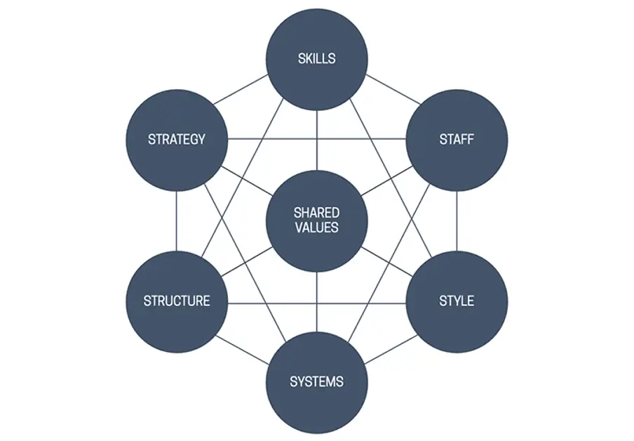 Director mentoring skills