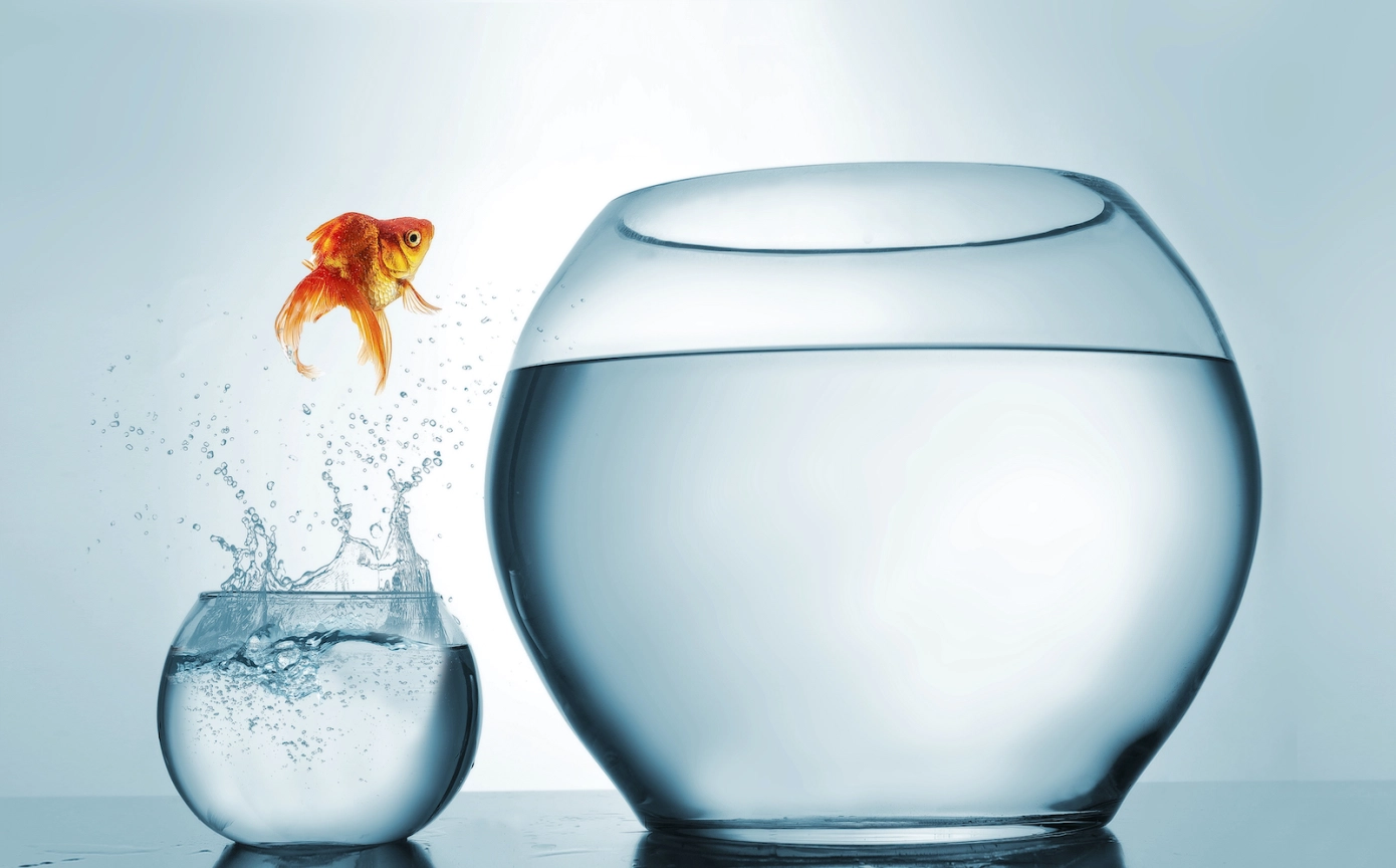 How to Create A Successful SaaS Strategy & Pricing Model